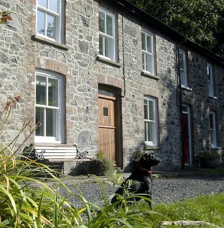 Bronfelin & Troed-Y-Rhiw Holiday Cottage Llanwrtyd Wells エクステリア 写真