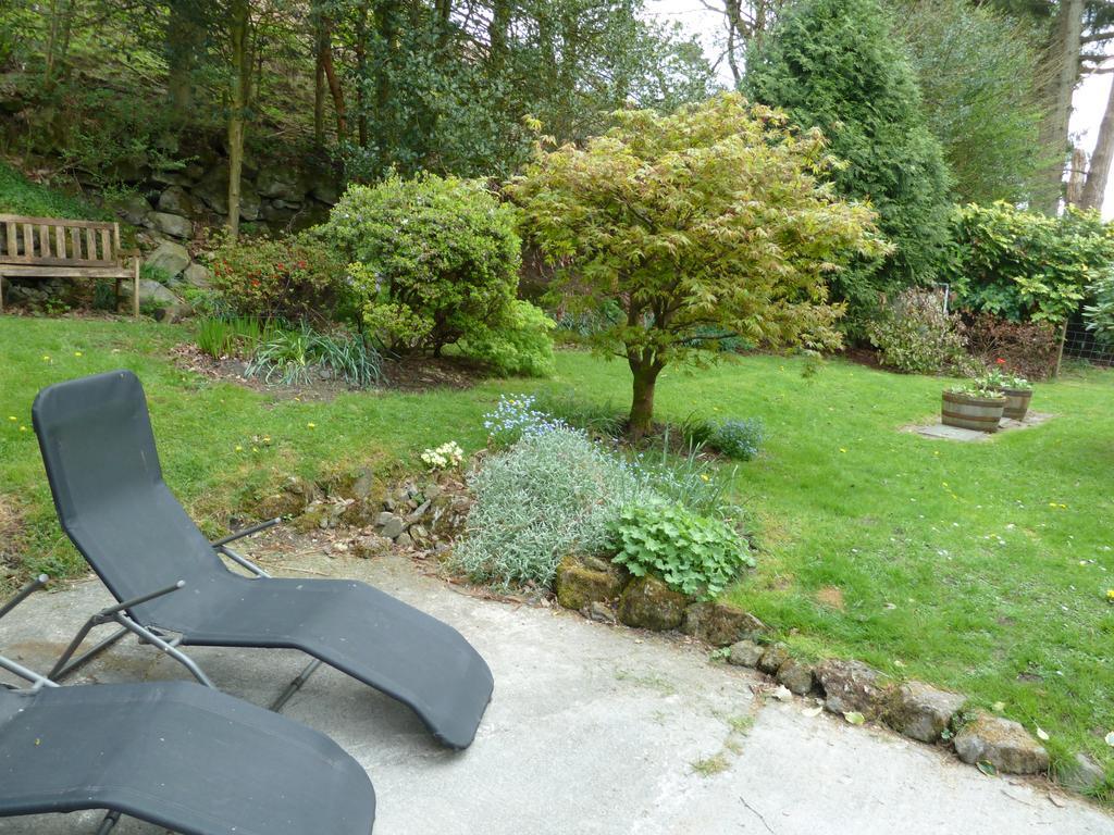 Bronfelin & Troed-Y-Rhiw Holiday Cottage Llanwrtyd Wells エクステリア 写真